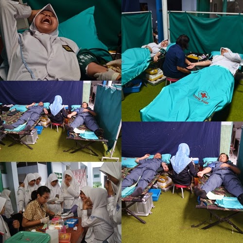 COME ON BRO DONOR DARAH